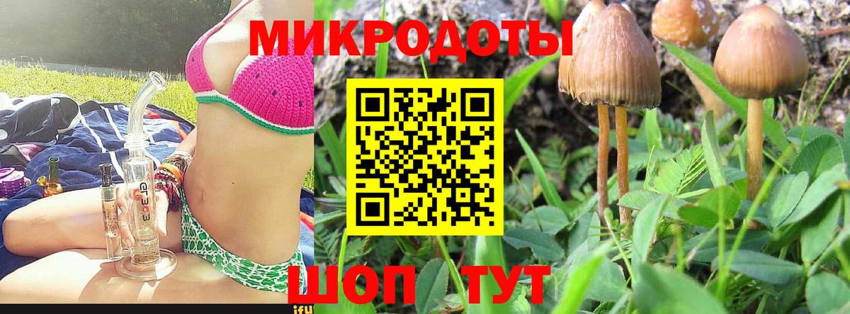 цены   Псилоцибиновые грибы мицелий  Галлюциногенные грибы Psilocybe  Вход с VPN  Будённовск 
