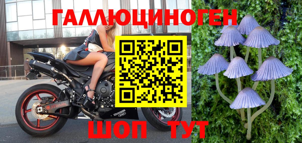 Псилоцибиновые грибы прущие грибы  Будённовск 